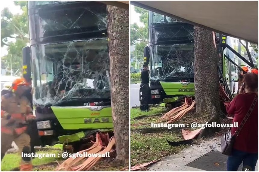 SMRT bus driver, 58, dies after crashing vehicle into tree in Woodlands